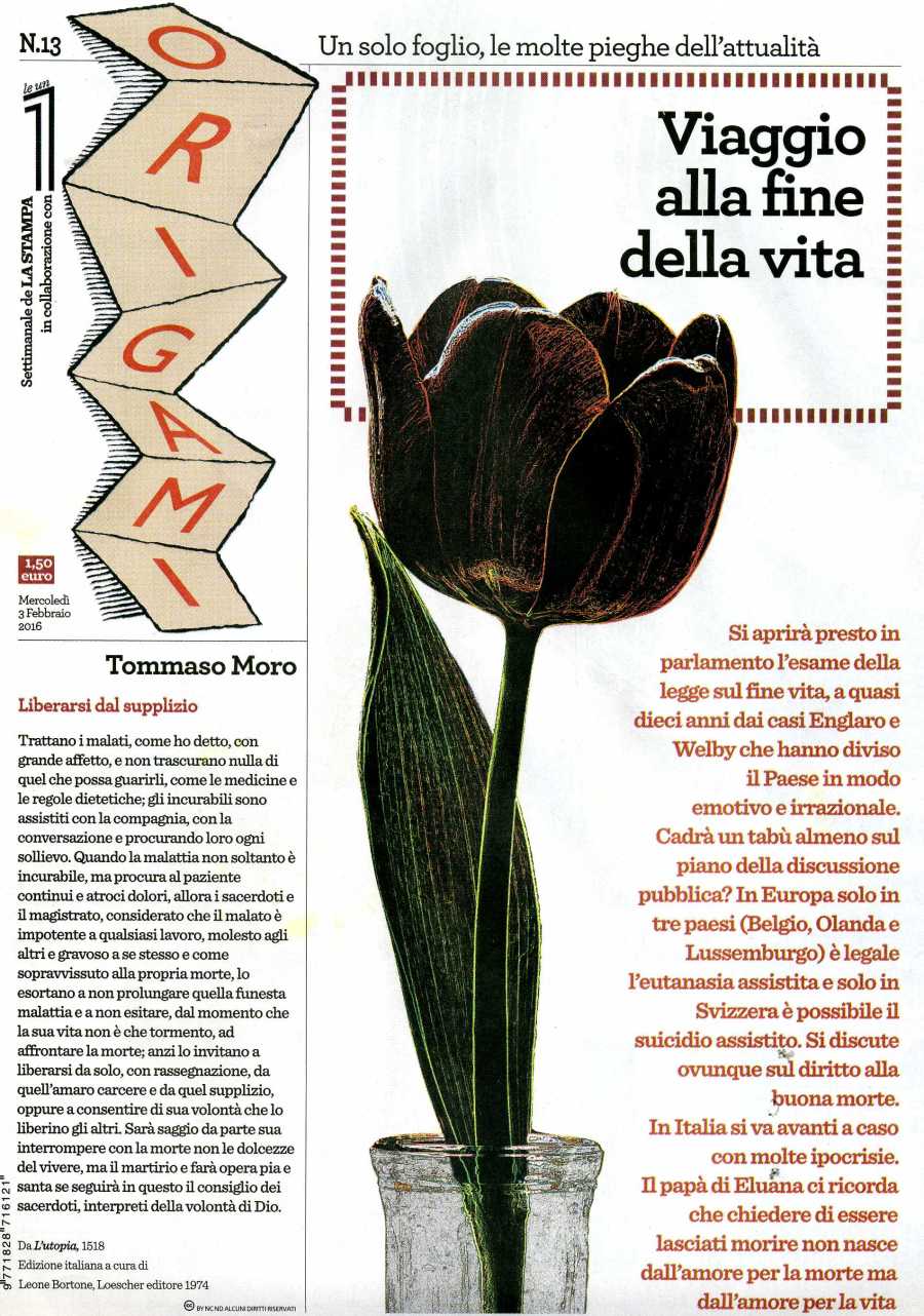 FINE FVITA2679