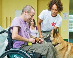 immagine sillhouette testa