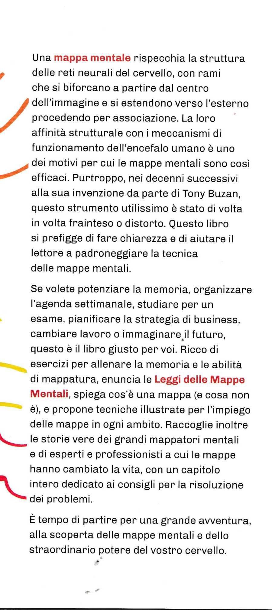 buzan mappe mentali3331