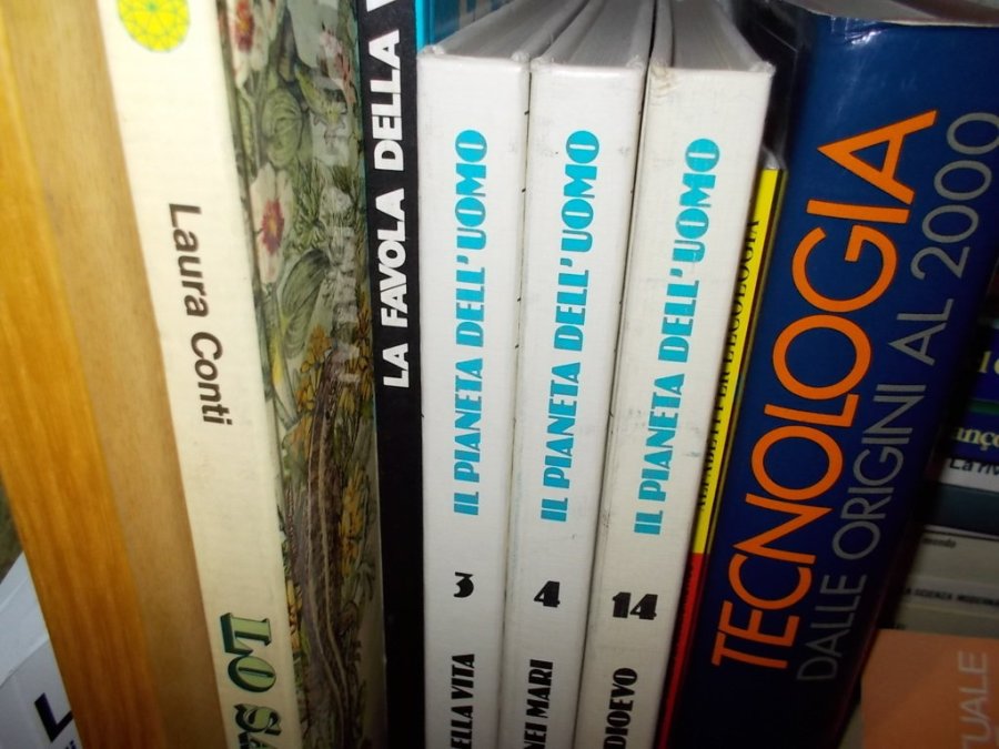 DSCN1760 (FILEminimizer)